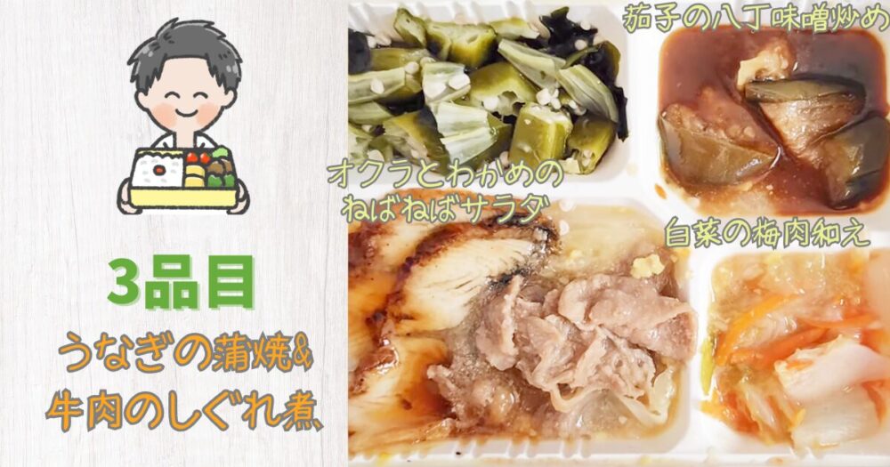 ウェルネスダイニング 食レポ 3食目