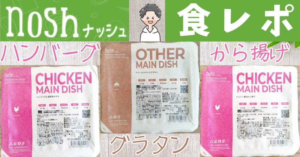 ナッシュ 食レポ