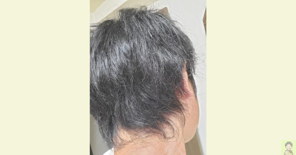 【ナッシュ体験談】すれ違い家族がリビングに大集合！家事のありがたみを学べる宅配食